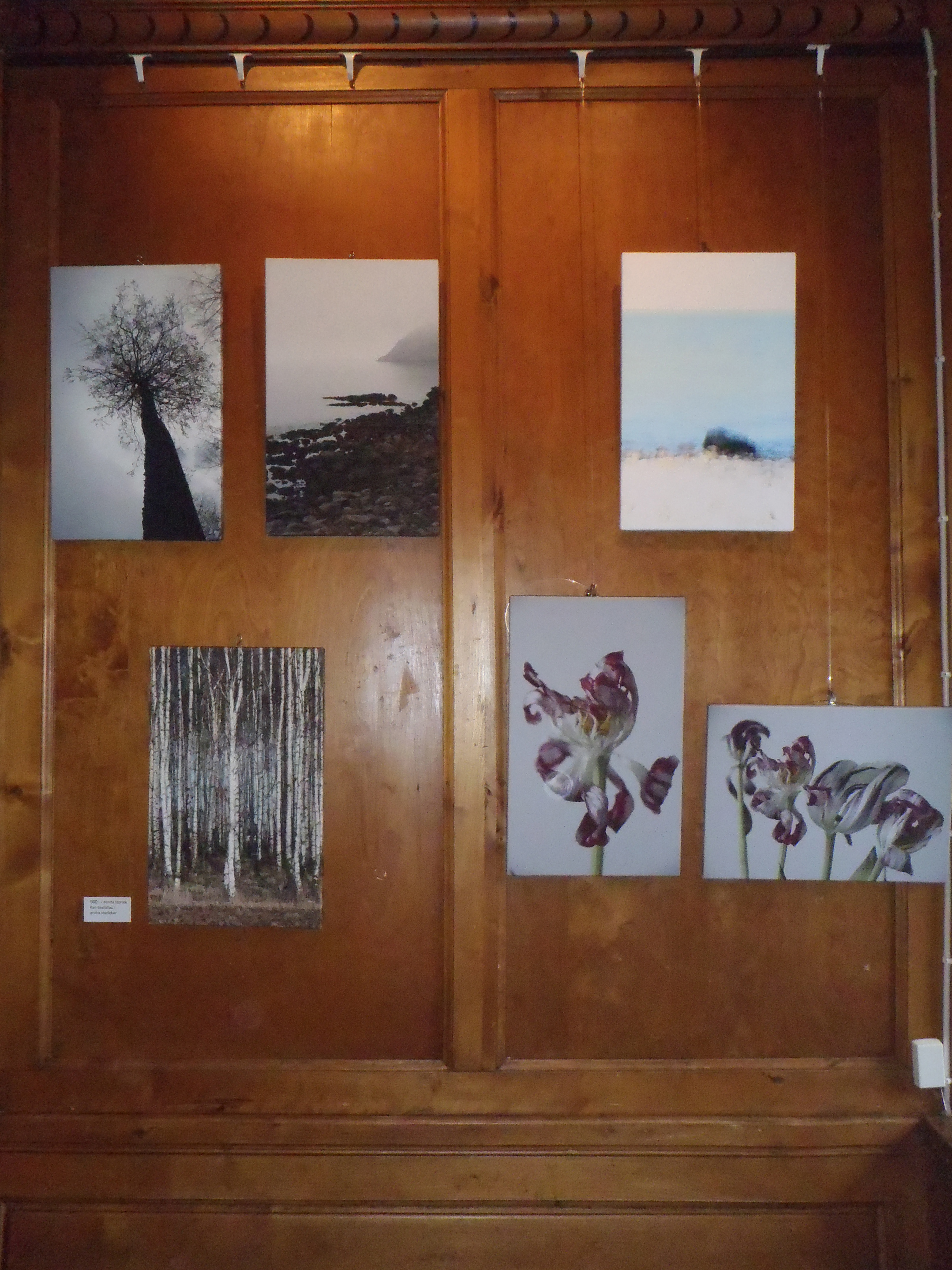 Kundreferenser canvasframkallning.se